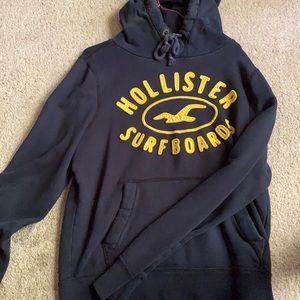 Long sleeve Holister Hoodie